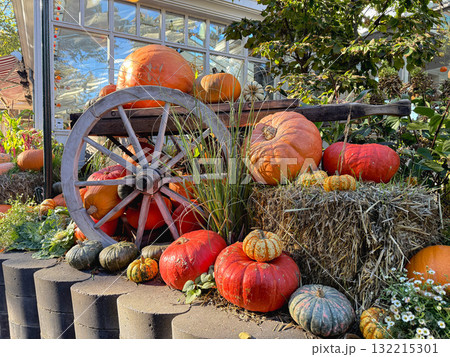 Colorful pumpkins and hay autumn Halloween outdoor decoration Colorful pumpkins and hay autumn Halloween outdoor decoration 132215301