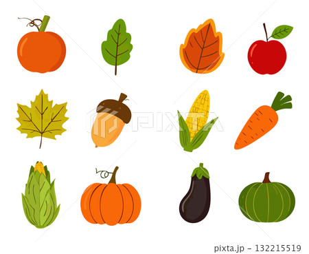 いろいろな野菜と紅葉のアイコンセット 132215519