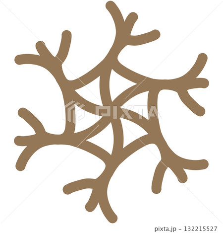 薄い茶色の独特な形の雪の結晶 132215527