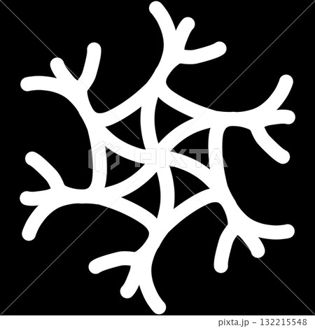 白い独特な形の雪の結晶 132215548