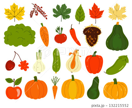 カラフルな野菜や紅葉のアイコン 132215552