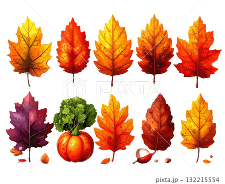 秋の落ち葉のセット 秋の落ち葉のセット 132215554