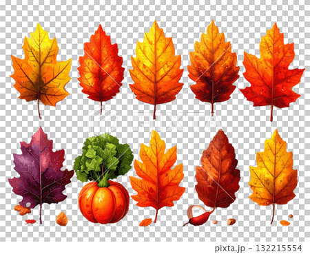 秋の落ち葉のセット 秋の落ち葉のセット 132215554
