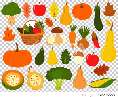 各種蔬菜和秋葉的插圖集 132215555