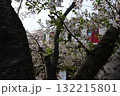 桜 132215801