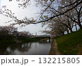 桜 132215805