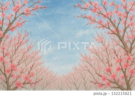 フレーム素材　梅林　梅の花　満開　水彩画 132215821