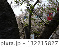 桜 132215827