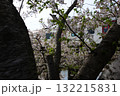 桜 132215831