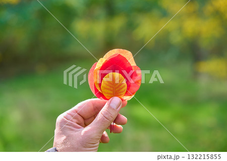 Colorful autumn leaves in hand on sunny day. Beauty nature 132215855