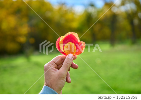 Colorful autumn leaves in hand on sunny day. Beauty nature 132215858