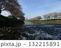 桜 132215891