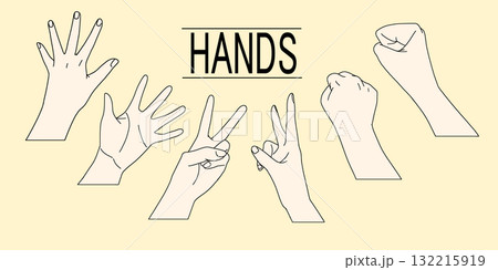 ハンドサインを出す手のイラスト 132215919