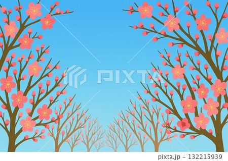 フレーム素材 梅林 梅の花 満開 ベクター フレーム素材 梅林 梅の花 満開 ベクター 132215939