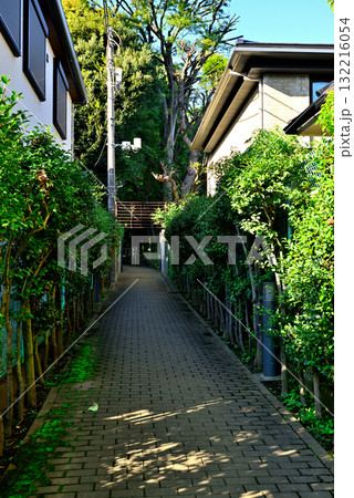 東京 駒場公園 旧前田家本邸洋館 東京 駒場公園 旧前田家本邸洋館 132216054