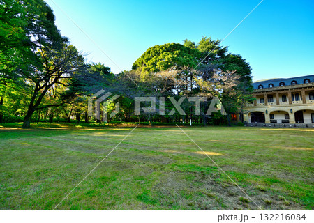 東京 駒場公園 旧前田家本邸洋館 東京 駒場公園 旧前田家本邸洋館 132216084