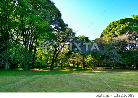 東京 駒場公園 旧前田家本邸洋館 東京 駒場公園 旧前田家本邸洋館 132216085