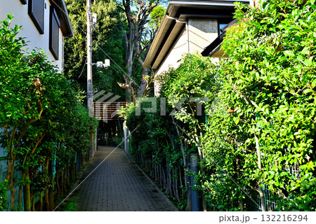 東京　駒場公園　旧前田家本邸洋館 132216294