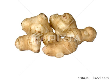 収穫した菊芋 収穫した菊芋 132216589