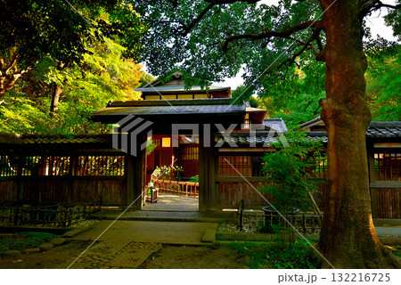 東京 駒場公園　旧前田家本邸和館 132216725