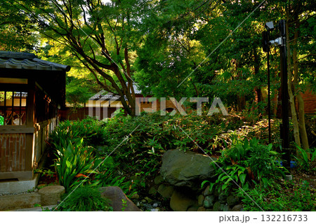 東京 駒場公園　旧前田家本邸和館 132216733