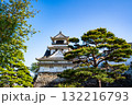 高知城の風景（高知市） 132216793