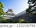 高知城の風景（高知市） 132216794