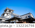高知城の風景（高知市） 132216798