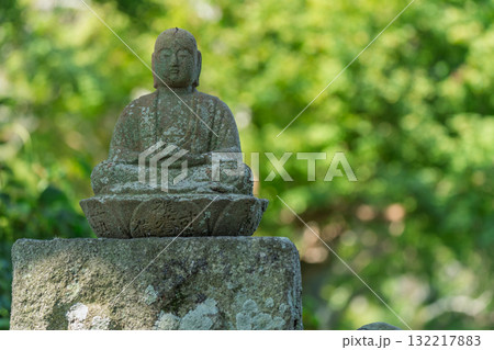 国の史跡に指定されている亀岡市の丹波国分寺跡を撮影 132217883