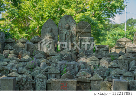 国の史跡に指定されている亀岡市の丹波国分寺跡を撮影 132217885