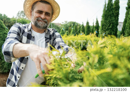 Taking care of bush by using scissors. Senior gardener is at work at daytime 132218100