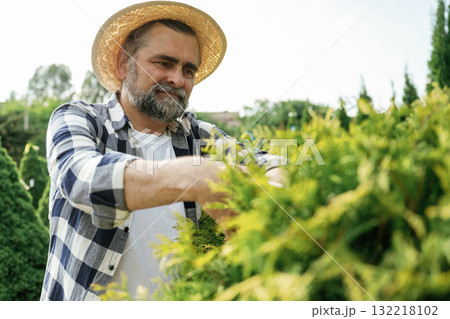 Taking care of bush by using scissors. Senior gardener is at work at daytime 132218102