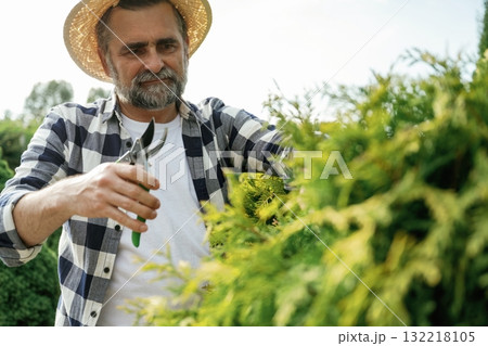 Busy by cutting the bush. Senior gardener is at work at daytime 132218105