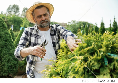 Busy by cutting the bush. Senior gardener is at work at daytime 132218108