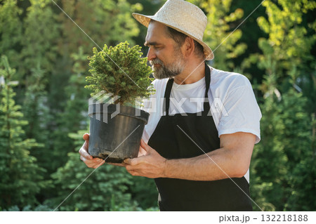 Little plant in the pot. Senior gardener is at work at daytime Little plant in the pot. Senior gardener is at work at daytime 132218188
