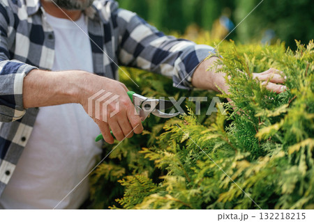 Cutting the bush with scissors. Gardener is working Cutting the bush with scissors. Gardener is working 132218215