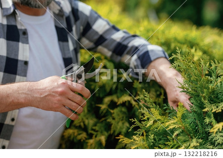 Cutting the bush with scissors. Gardener is working 132218216