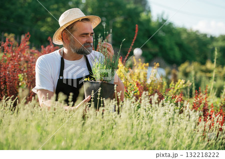 Enjoying the job. Senior gardener is at work at daytime 132218222