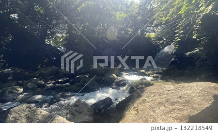 熊本の川① 132218549