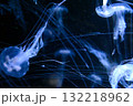 オキクラゲ 132218962