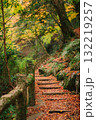 紅葉の落ち葉に覆われた階段 132219257