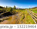 rural scene of carpathian mountain landscape in spring. green countryside with forested hills. sunny morning near podobovets village in ukraine. beautiful valley sustainable development under blue sky 132219464