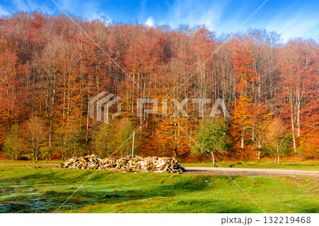 mountain landscape with forest in autumn. travel background with road in fall season. beautiful countryside scenery of ukraine under blue sky. sunny weather. pile of firewood near the path mountain landscape with forest in autumn. travel background with road in fall season. beautiful countryside scenery of ukraine under blue sky. sunny weather. pile of firewood near the path 132219468