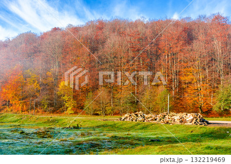 mountain landscape with forest in autumn. travel background with road in fall season. beautiful countryside scenery of ukraine under blue sky. sunny weather. pile of firewood near the path 132219469