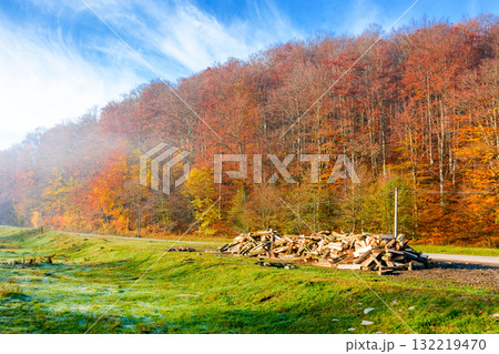 mountain landscape with forest in autumn. travel background with road in fall season. beautiful countryside scenery of ukraine under blue sky. sunny weather. pile of firewood near the path 132219470