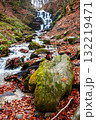 beautiful autumn scenery near the waterfall shypot. popular travel destination of Ukrainian Carpathians. mossy rocks near water stream. steep slopes in fallen foliage. sunny afternoon in autumn 132219471