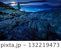 rural scene of mountain landscape in spring at night. mysterious countryside with forested hills in full moon light. beautiful valley sustainable development under sky with dark clouds 132219473