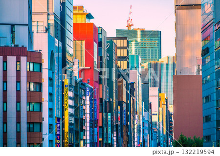 日本の東京都市景観10月17日。東京・銀座や日本橋一丁目再開発(画面奥上)など望む 日本の東京都市景観10月17日。東京・銀座や日本橋一丁目再開発(画面奥上)など望む 132219594