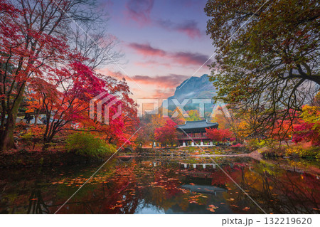 Colorful autumn with beautiful maple leaf in sunset at Baekyangsa temple in Naejangsan national park, South Korea. Colorful autumn with beautiful maple leaf in sunset at Baekyangsa temple in Naejangsan national park, South Korea. 132219620
