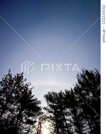 メイン州の森と夕暮れの空/Twilight Sky over a Forest in Maine メイン州の森と夕暮れの空/Twilight Sky over a Forest in Maine 132220102
